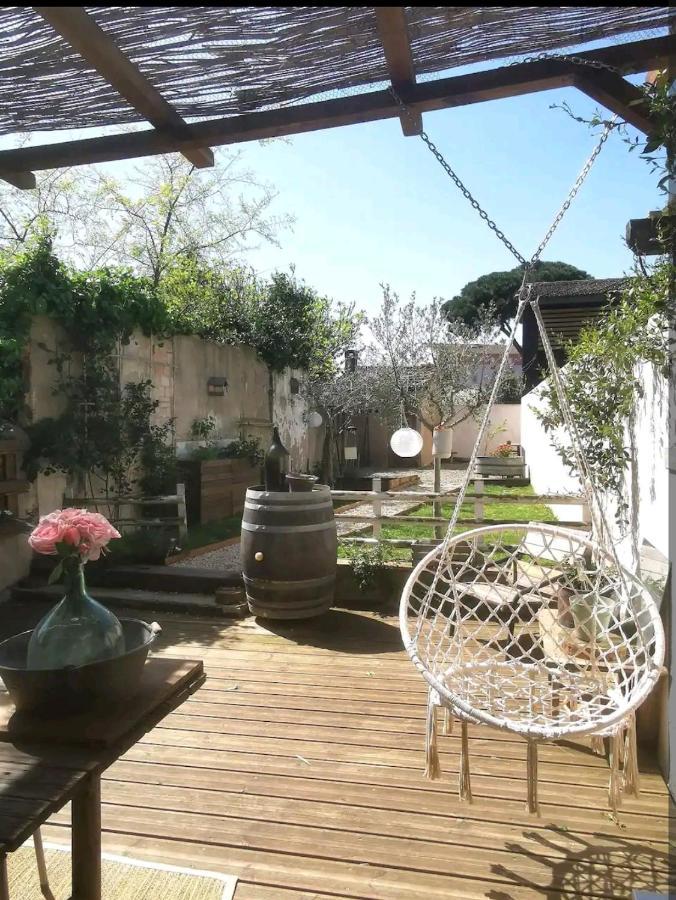 La Maison De Marie - Jardin Arbore - Garage Privatif - Netflix Каркассонн Екстер'єр фото